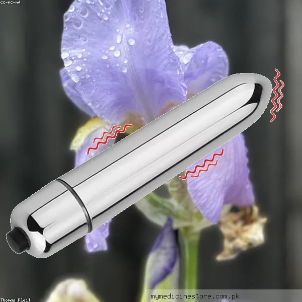 Silver Bullet Vibrator