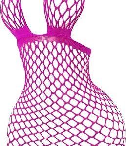 Women's sheer fishnet babydoll lingerie dress